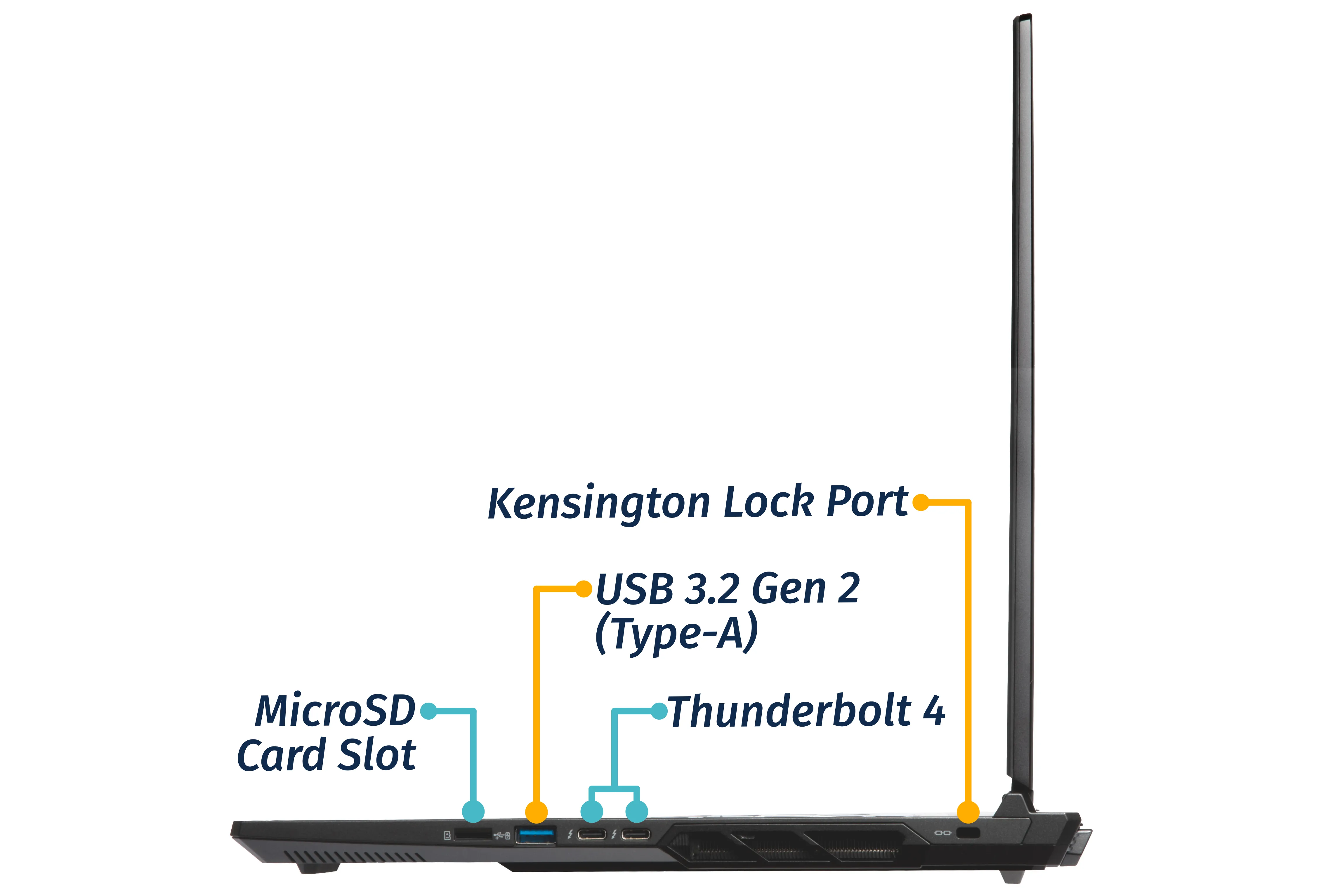 Right Ports